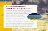 Interactions and Ecosystems