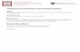 Temporal Processing in the Visual System