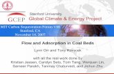 Flow and Adsorption in Coal Beds