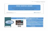FAO SOFIA 2020 - FiTI