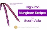 Dr. M. Amirthaveni Subramanian & Ms. Ray-yu Yang High-iron ...
