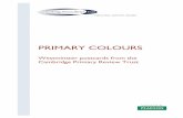 Primary Colours cover - The Cambridge Primary Review Trust