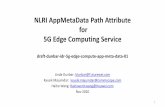 NLRI AppMetaDataPath Attribute for 5G Edge Computing Service