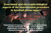 Functional and electrophysiological aspects of the ...