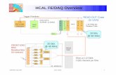 HCAL FE/DAQ Overview - UMD