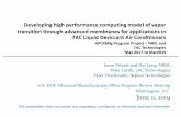 Developing high performance computing model of vapor ...