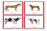 NAMC Farm Animal Matching Printable
