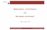 Mathematica - a First Glance