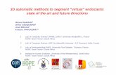 3D automatic methods to segment “virtual” endocasts: state ...
