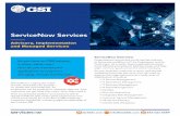 ServiceNow Services