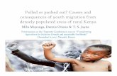 Pulled or pushed out? Causes and consequences of youth ...