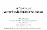 Learned Multi-dimensional Indexes A Tutorial on