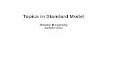 Topics in Standard Model - Universiteit Leiden