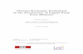 Thermo-Economic Evaluation of the Production of Liquid ...