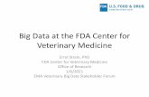 Big Data at the FDA Center for Veterinary Medicine