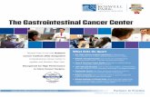 The Gastrointestinal Cancer Center