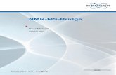 NMR-MS-Bridge User Manual
