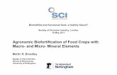 Agronomic Biofortification of Food Crops with Macro- and ...