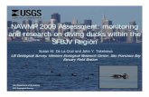 NAWMP 2009 Assessment: monitoring and research on diving ...