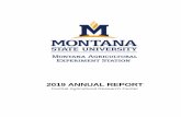 2019 ANNUAL REPORT - Ag Research