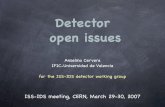 Detector open issues
