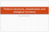 Proteins structure, classification and biological functions