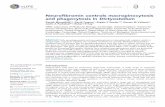 Neurofibromin controls macropinocytosis and phagocytosis ...