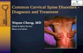 Common Spine Disorders Diagnosis and Treatment