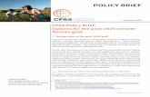 CFAS Policy Brief: Options for the post-2025 climate ...