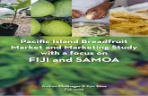 Pacific Island Breadfruit Market and Marketing Study with ...