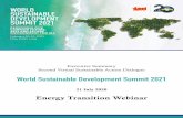 Executive Summary Second Virtual Sustainable Action Dialogue