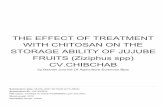 CV.CHIBCHAB FRUITS (Ziziphus spp) STORAGE ABILITY OF ...