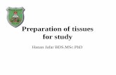 Preparation of tissues for study - Pre-Med