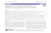 Evaluation of the virucidal effects of rosmarinic acid ...