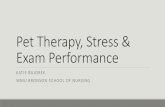 Pet Therapy, Stress & Exam Performance