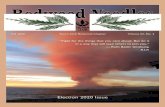 Redwood Needles - Sierra Club