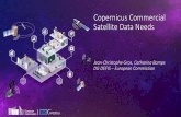 Copernicus Commercial Satellite Data Needs