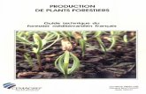 Production de plants forestiers - Quae-Open