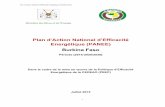 Plan d’Action National d’Efficacité