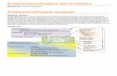 Protéomique/Analyse des Protéines