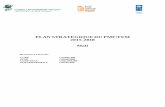 PLAN STRATEGIQUE DU PMF/FEM 2015-2018 Mali