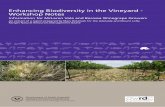 Enhancing Biodiversity in the Vineyard - Workshop Notes
