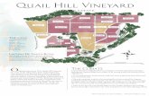 Quail Hill Vineyard - Lynmar Estate