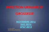 INFECTION URINAIRE ET GROSSESSE