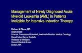 Management of Newly Diagnosed Acute Myeloid Leukemia (AML ...
