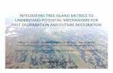 INTEGRATING TREE ISLAND METRICS TO UNDERSTAND …