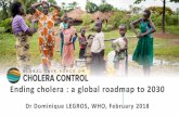 Ending cholera : a global roadmap to 2030