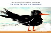 Les trois jours de la merlette The three days of the blackbird