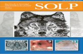 Preview Revista SOLP 58