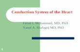 Conduction System of the Heart - JU Medicine